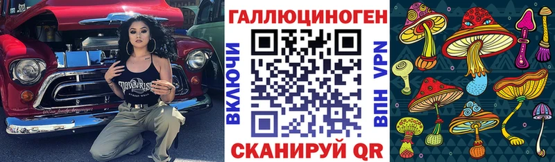 Галлюциногенные грибы Psilocybe  Мостовской 